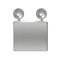 HZL Class 1 Div 2 Emergency Light